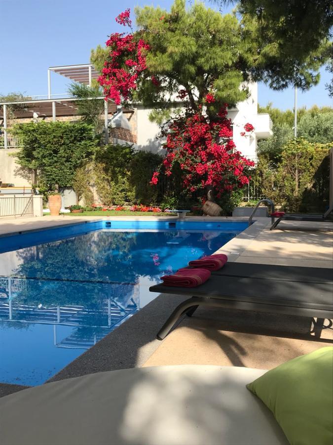Villa Serenity Pórto Ráfti Exterior foto